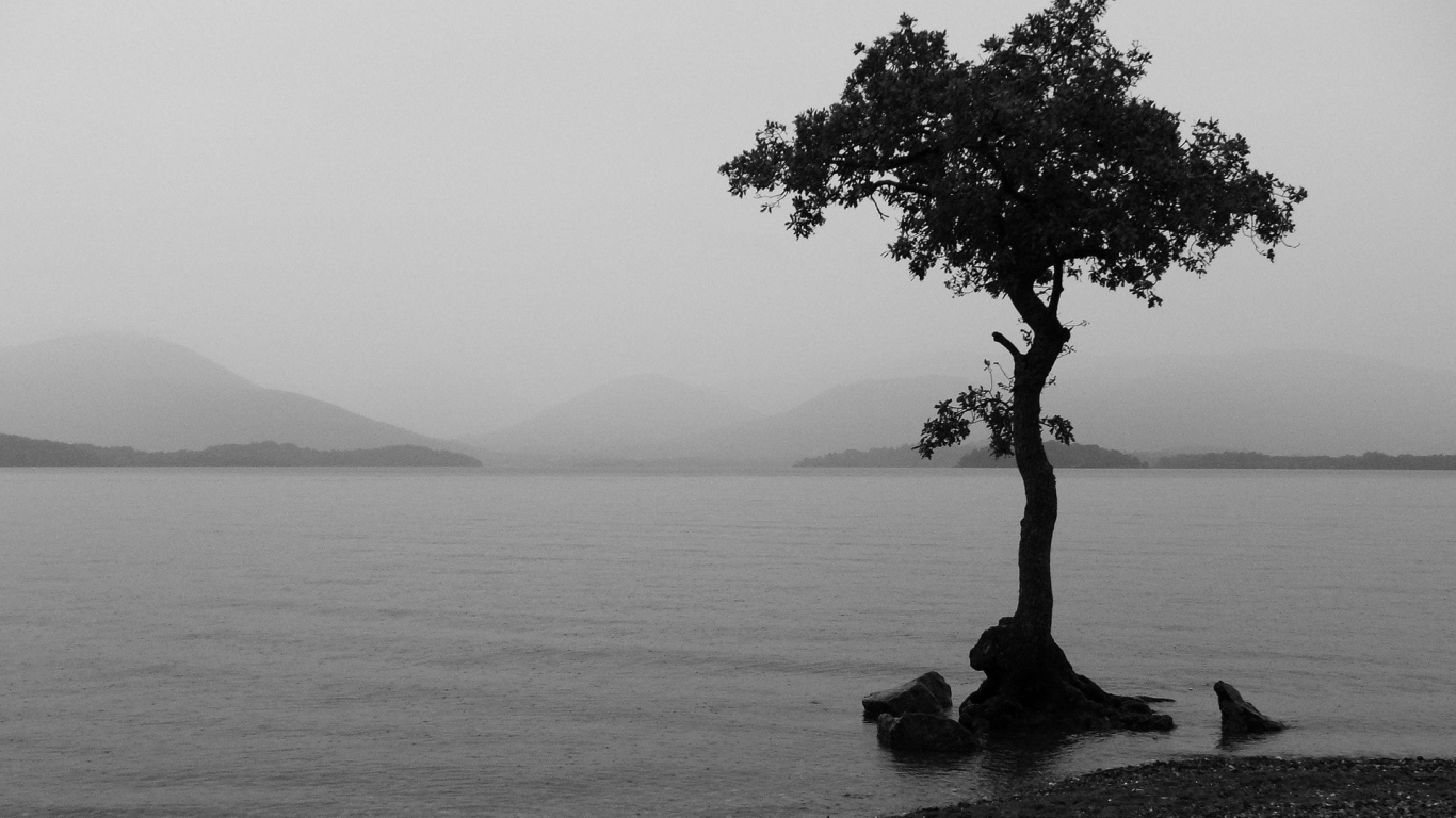 Туманное озеро