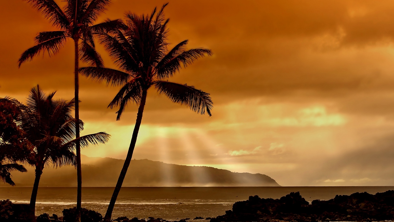 Закат в тропиках