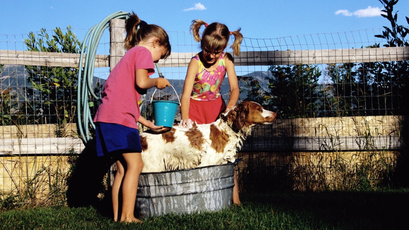 Дети с собакой