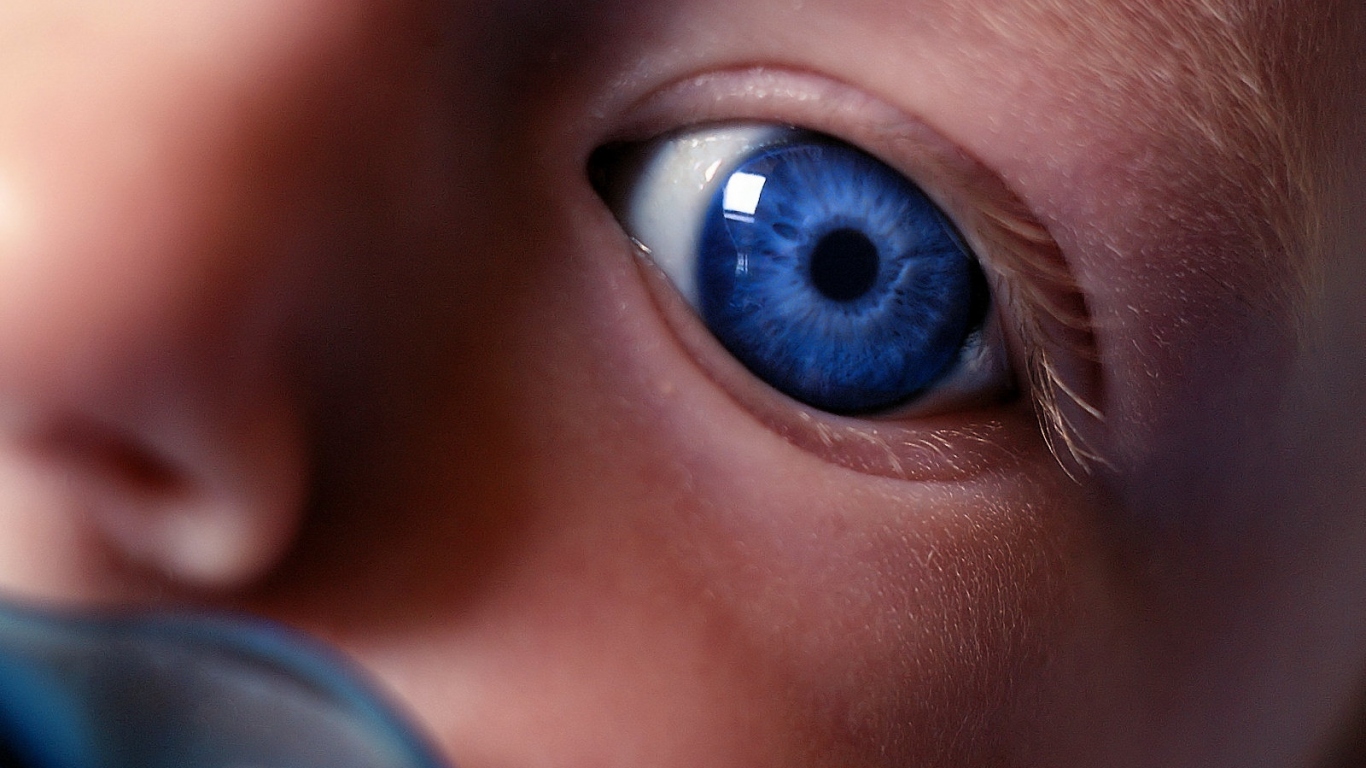 Взгляд на незнакомый мир