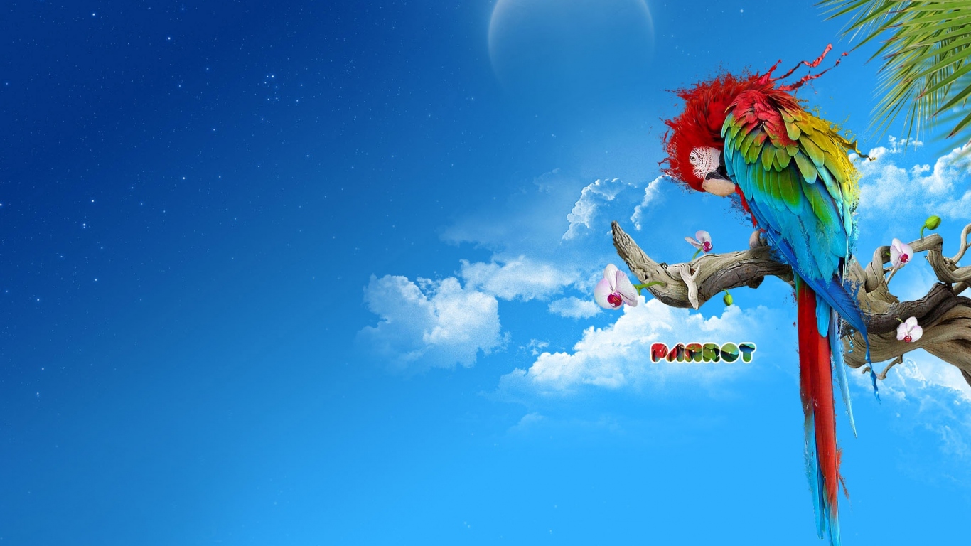 Яркий попугай