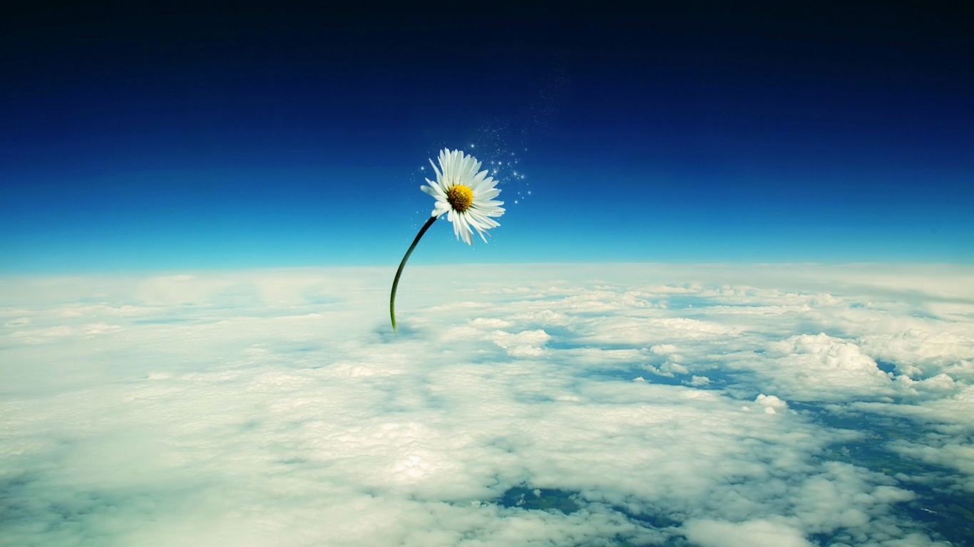 Небесный цветок