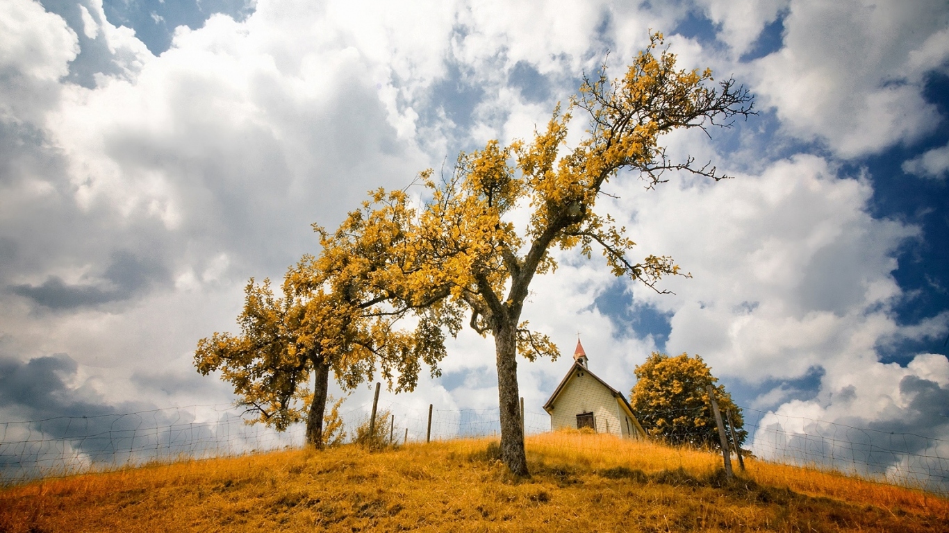 В желтом фокусе
