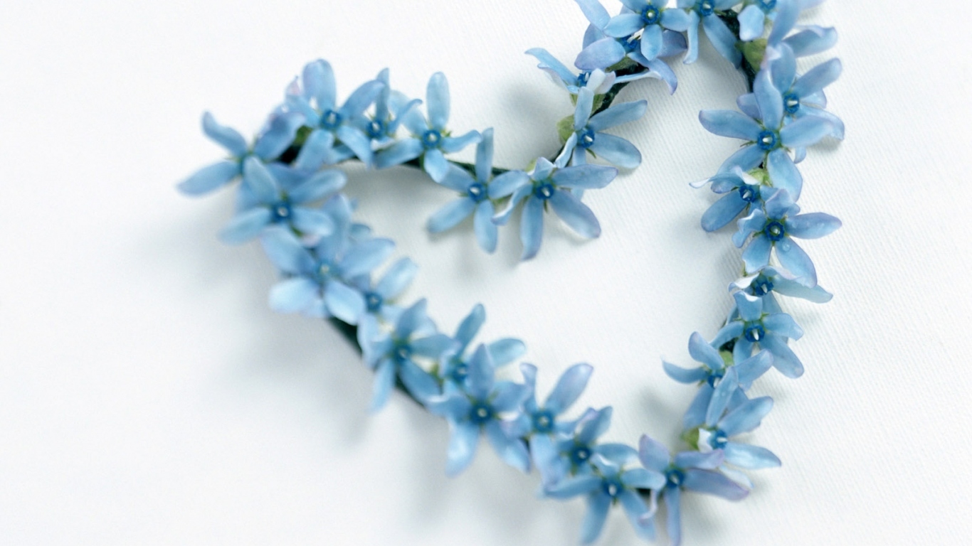 Сердечко из голубых цветов