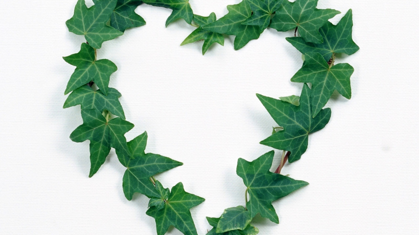 Сердце из листьев