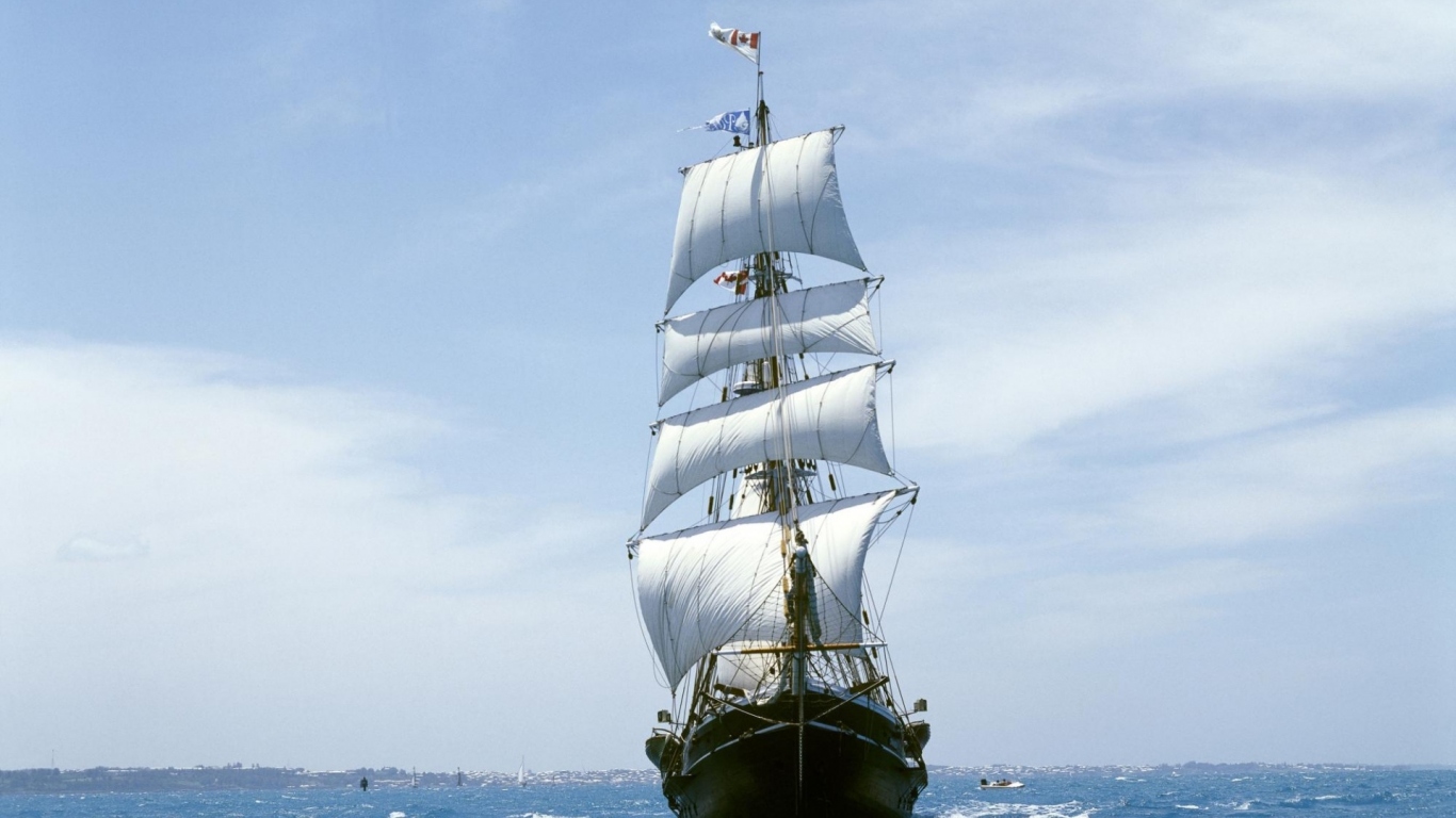 Белые паруса