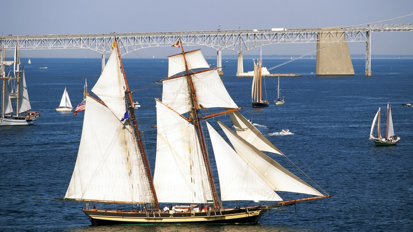 Белые паруса