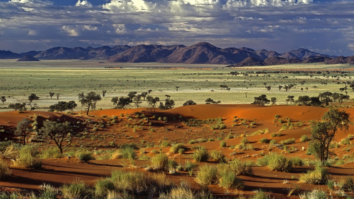 Африканская саванна