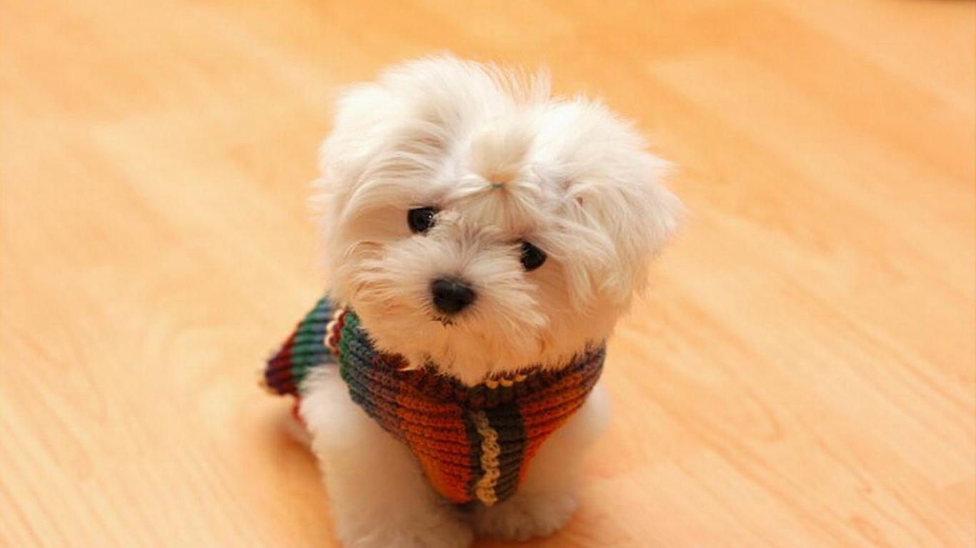 Игрушечный щенок