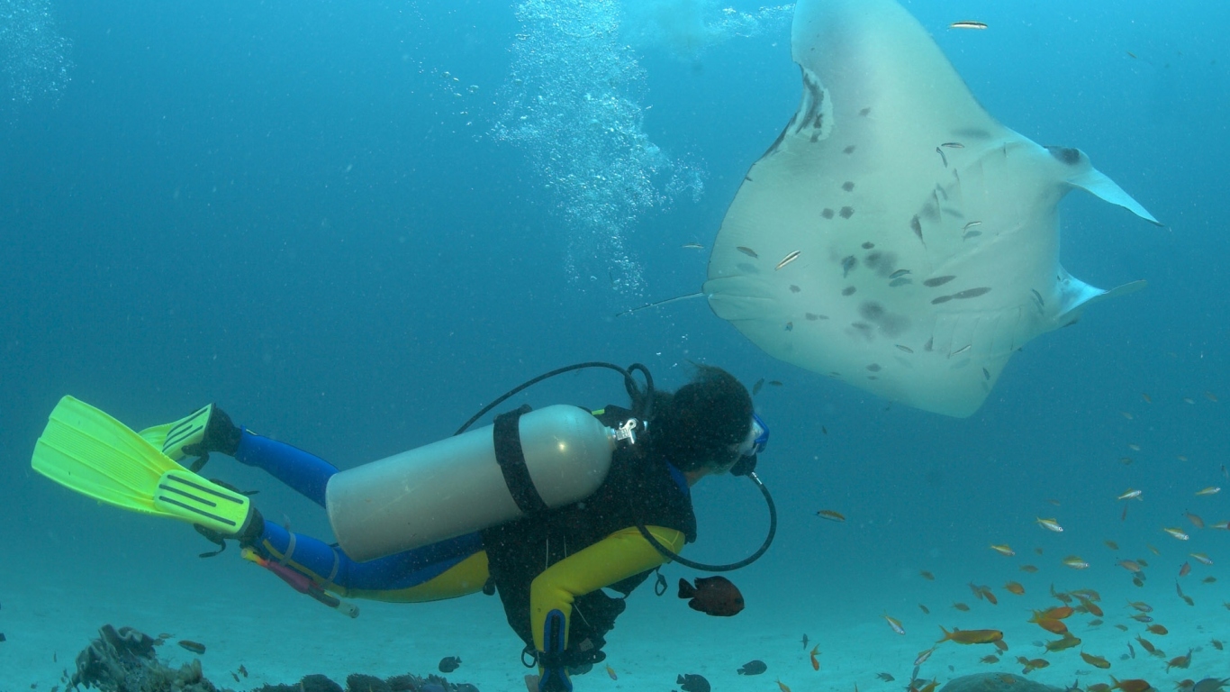 Дайвер и скат