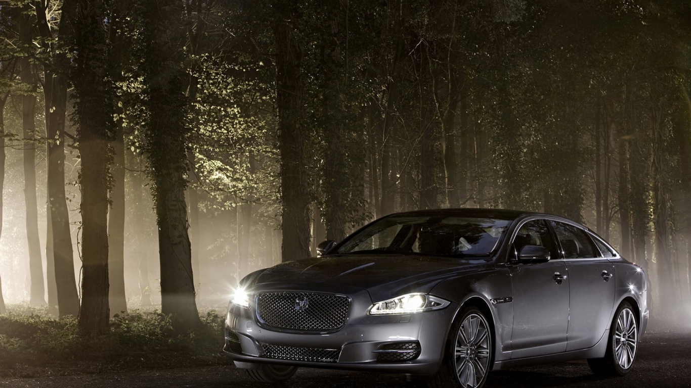 Jaguar XJ в лесу