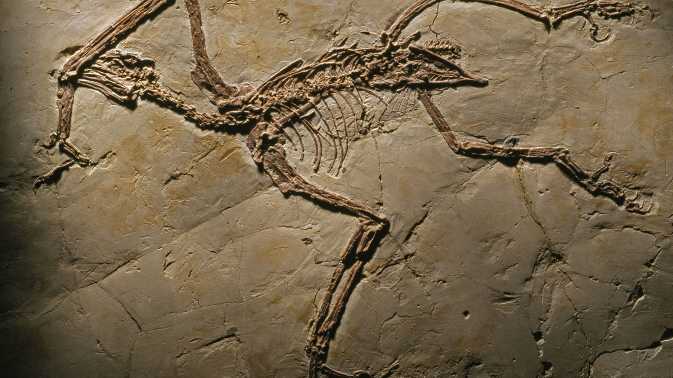 Археология