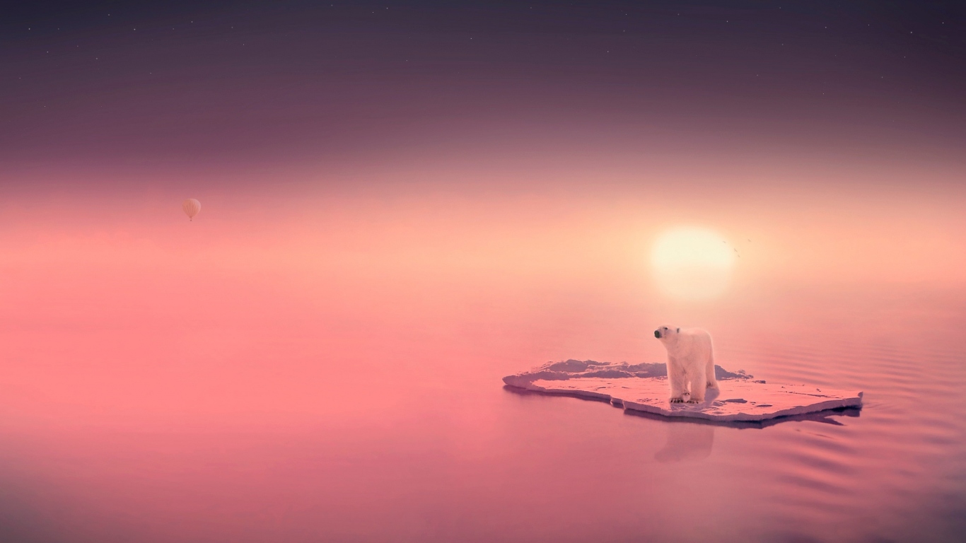 Медведь путешественник