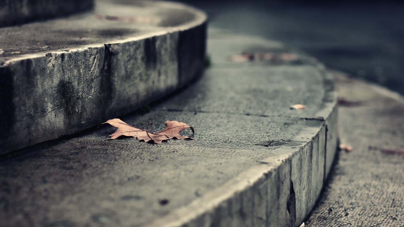 Листья на ступеньках