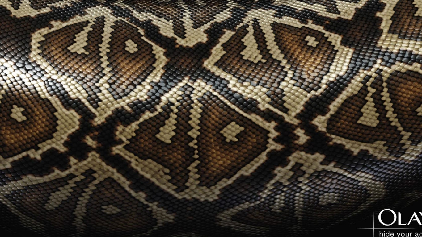 Змеиная кожа