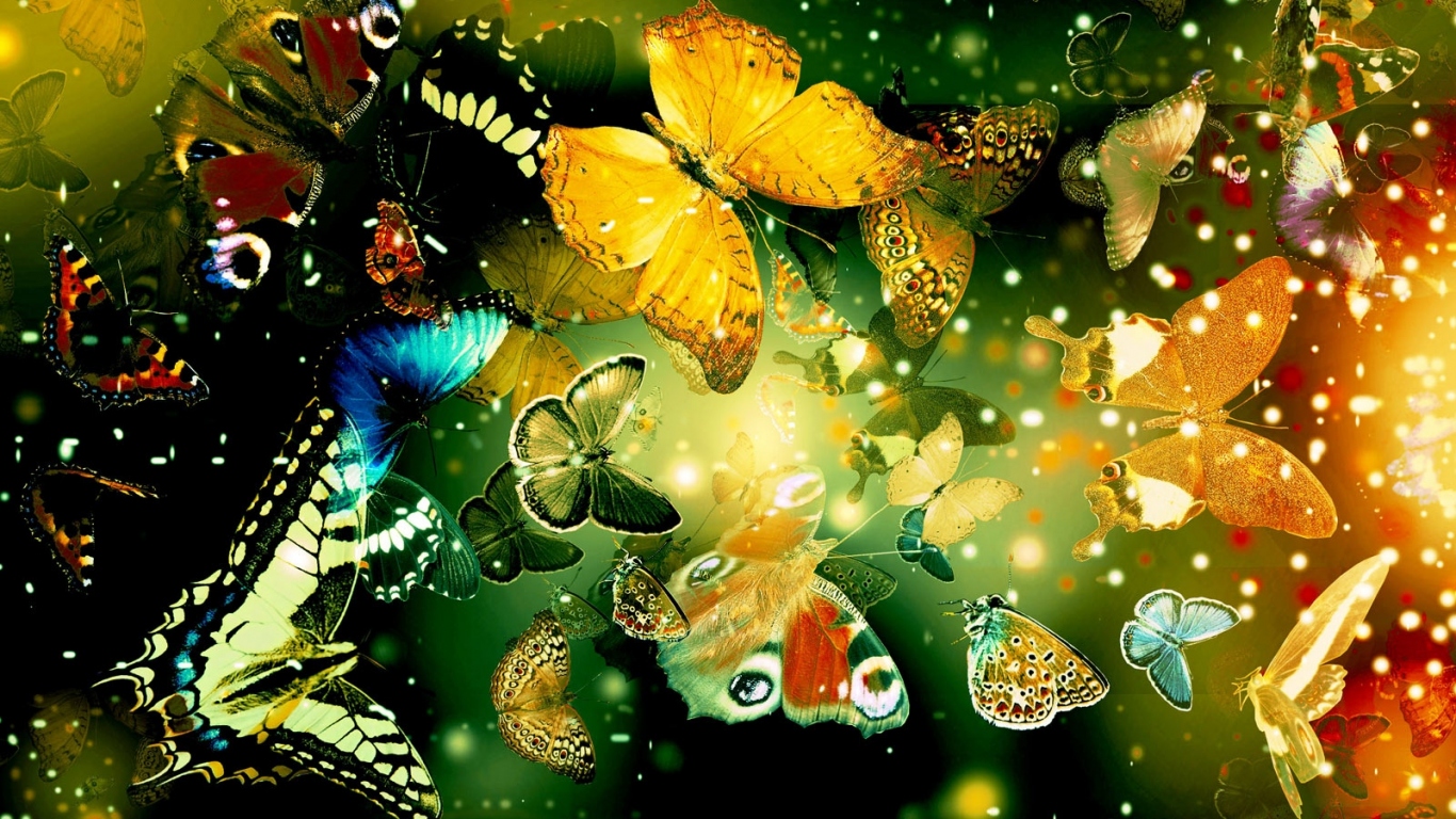 Яркие бабочки