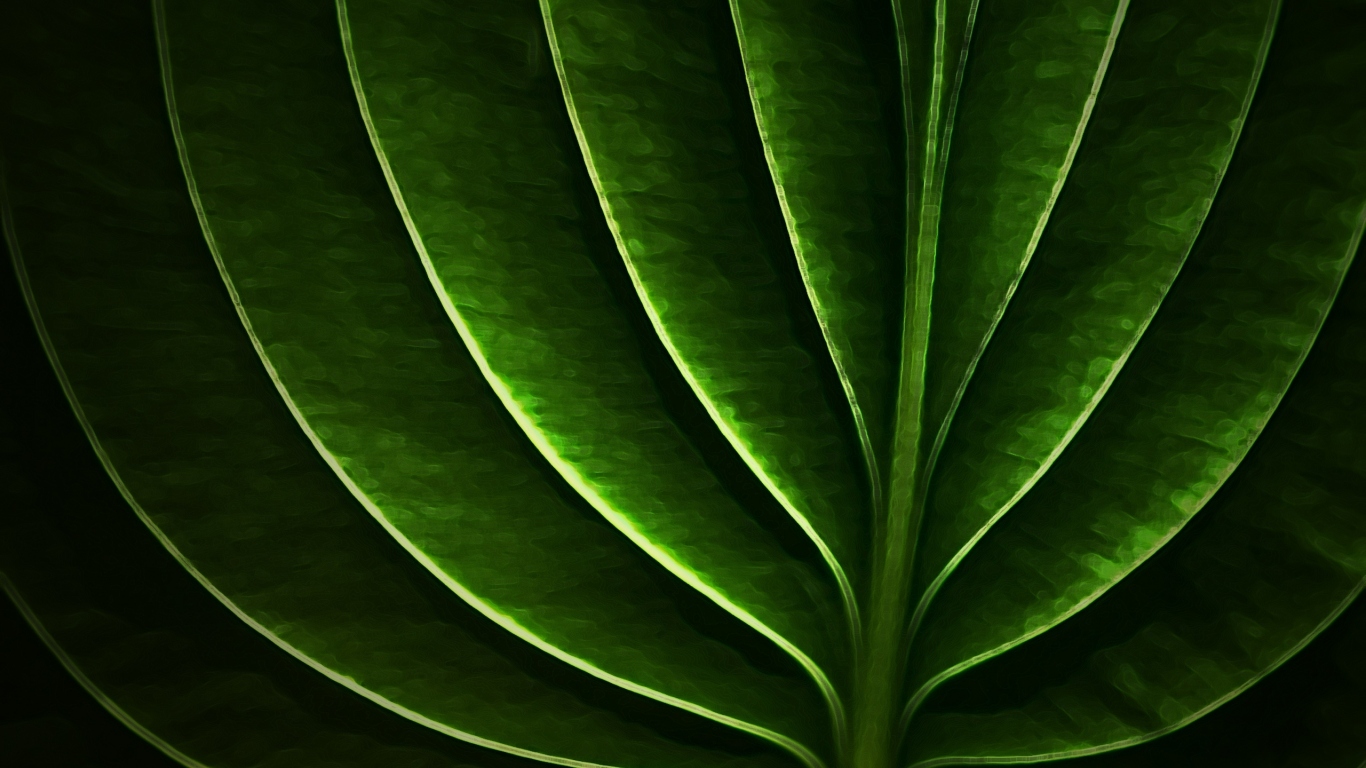 Неоновый листик