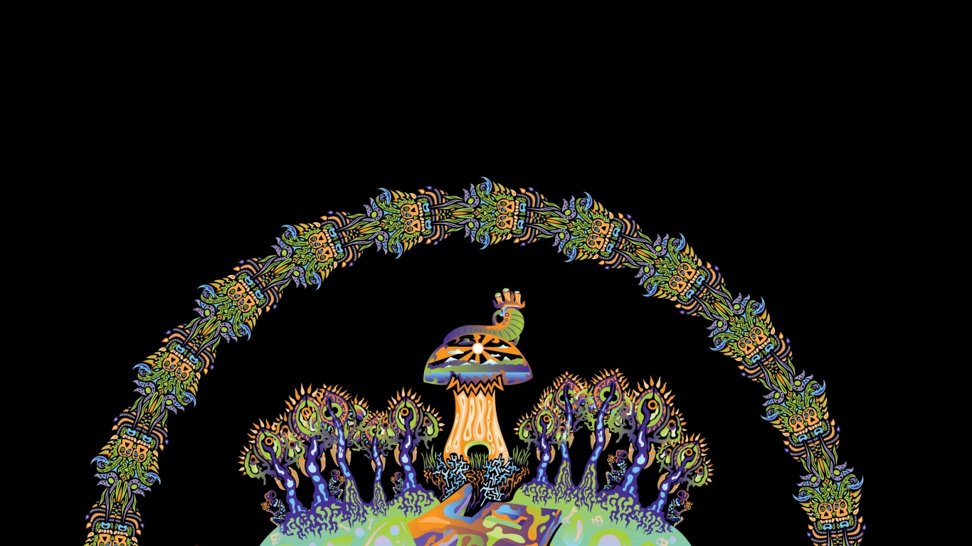 Грибной день