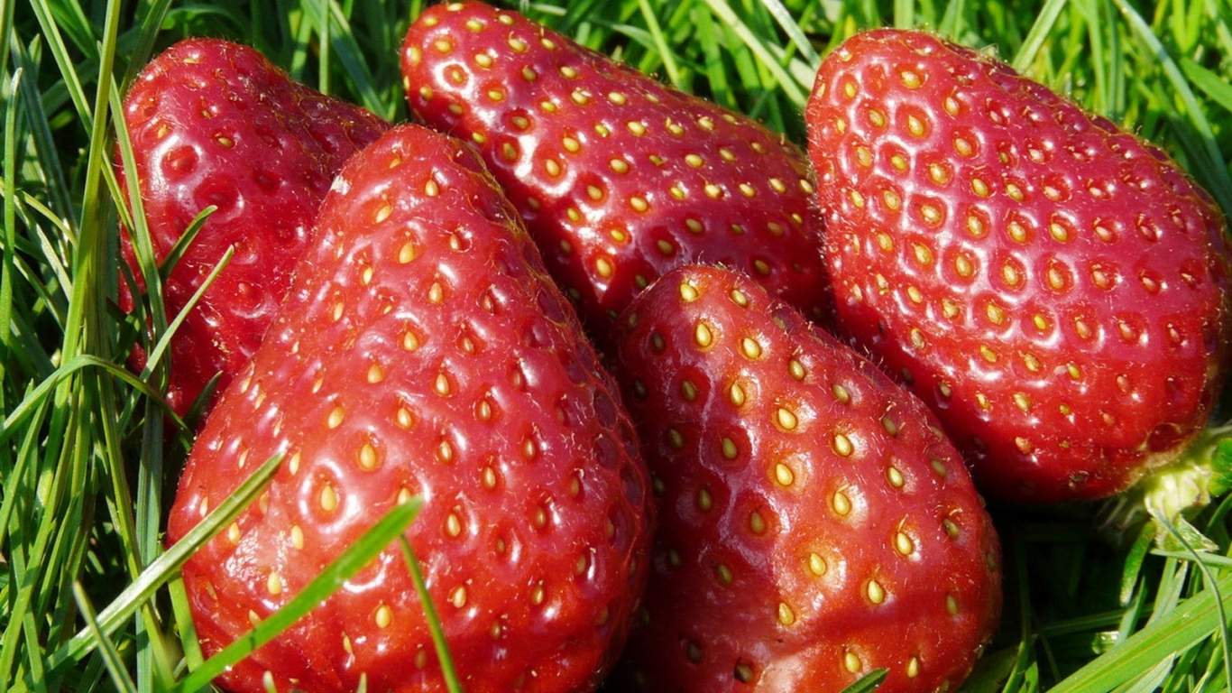 Спелая клубника