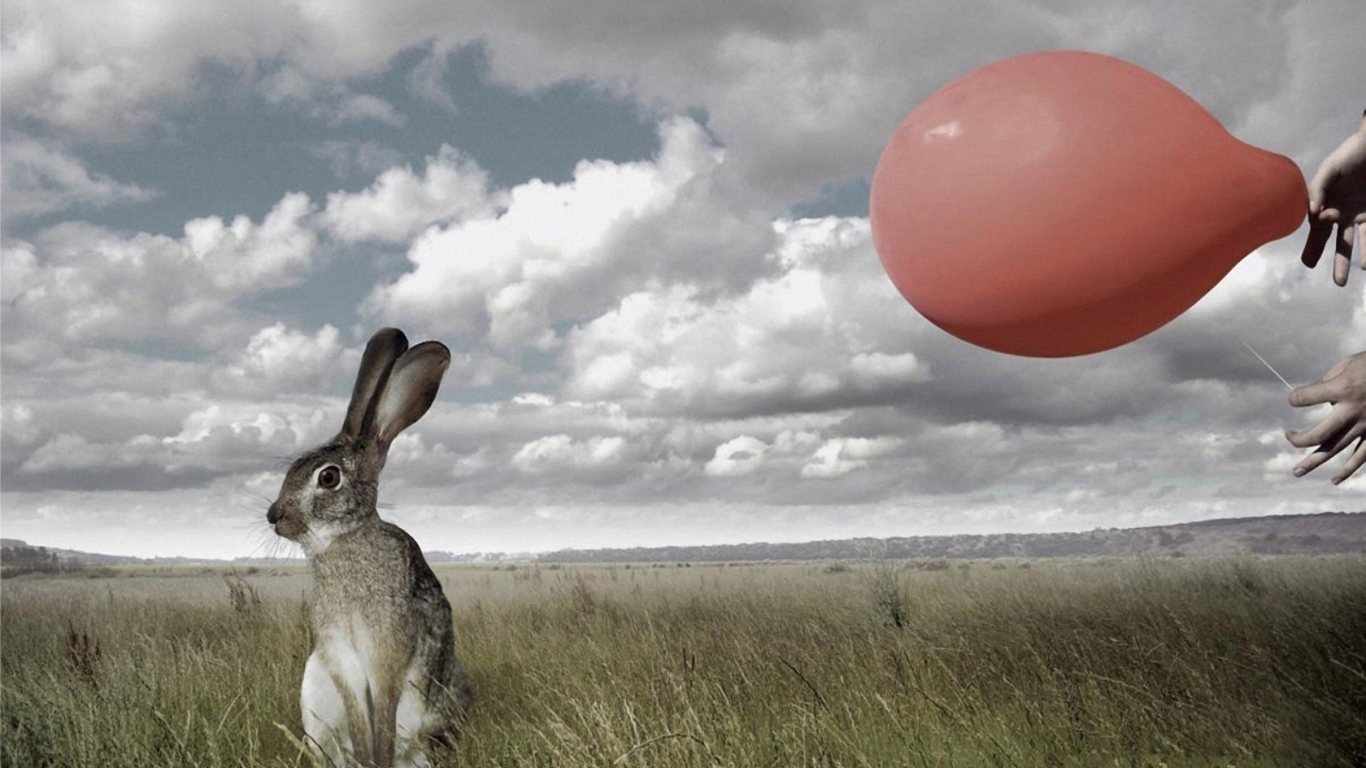 Мгновение до испуга