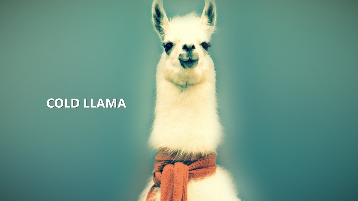 Лама в шарфе