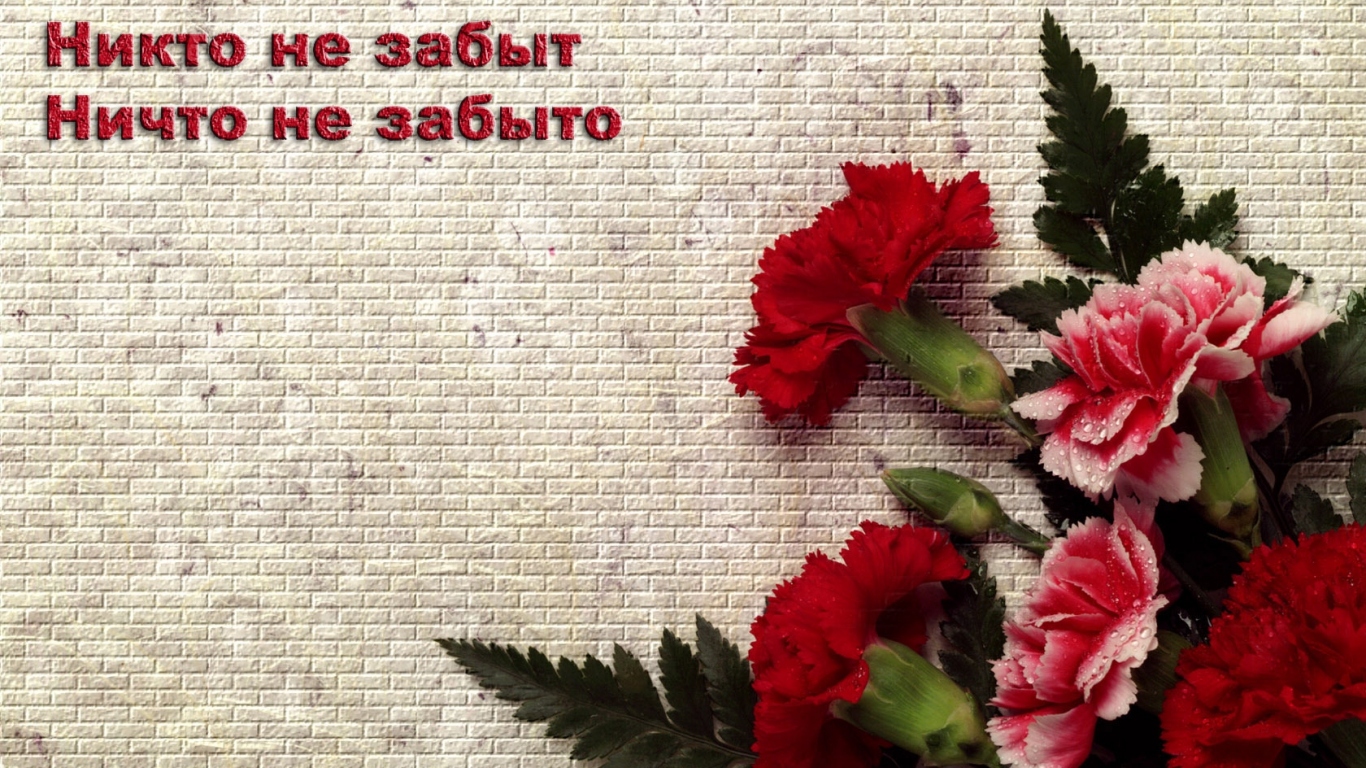 Ветеранам на 9 Мая