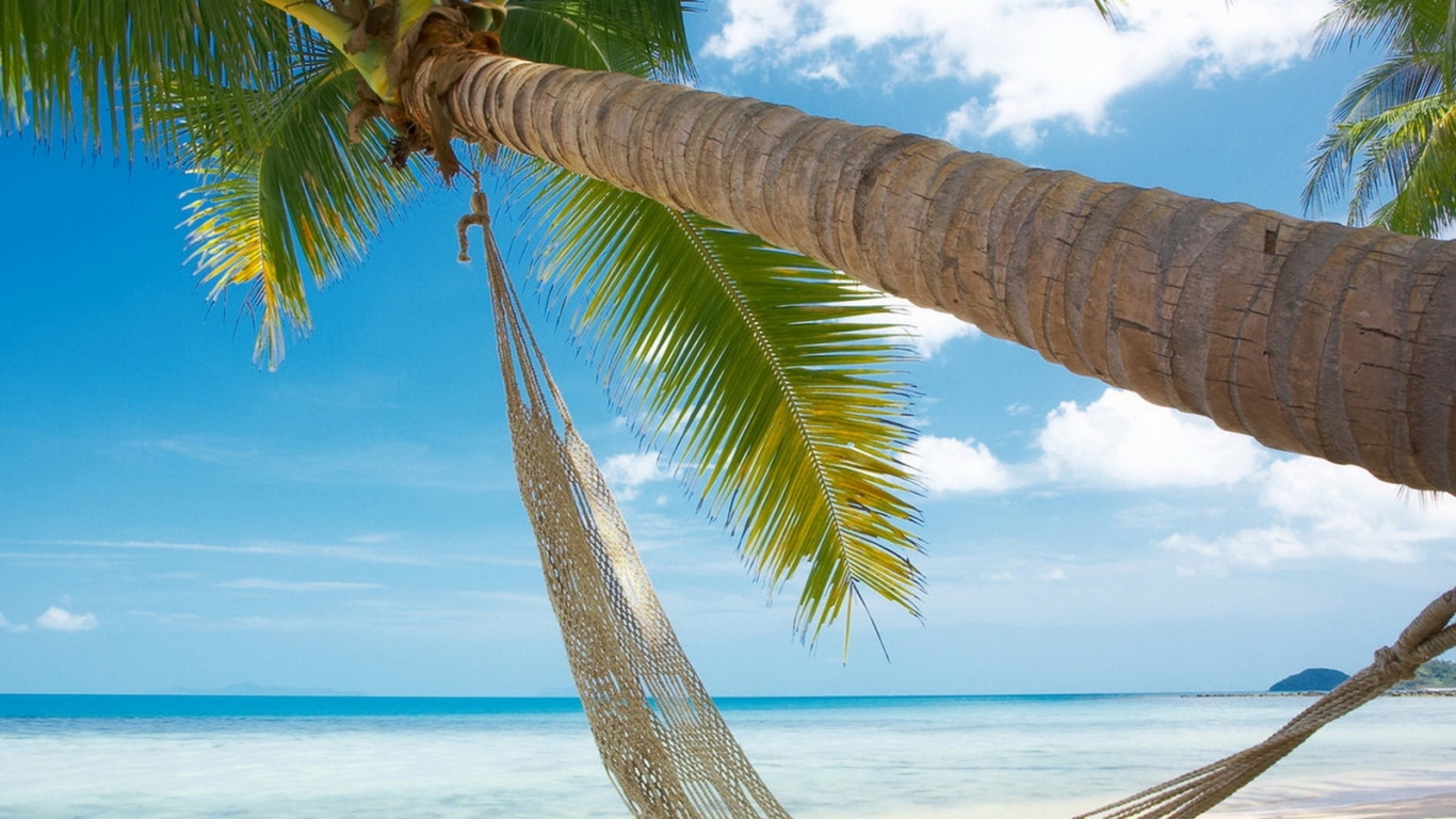 Гамак на берегу океана