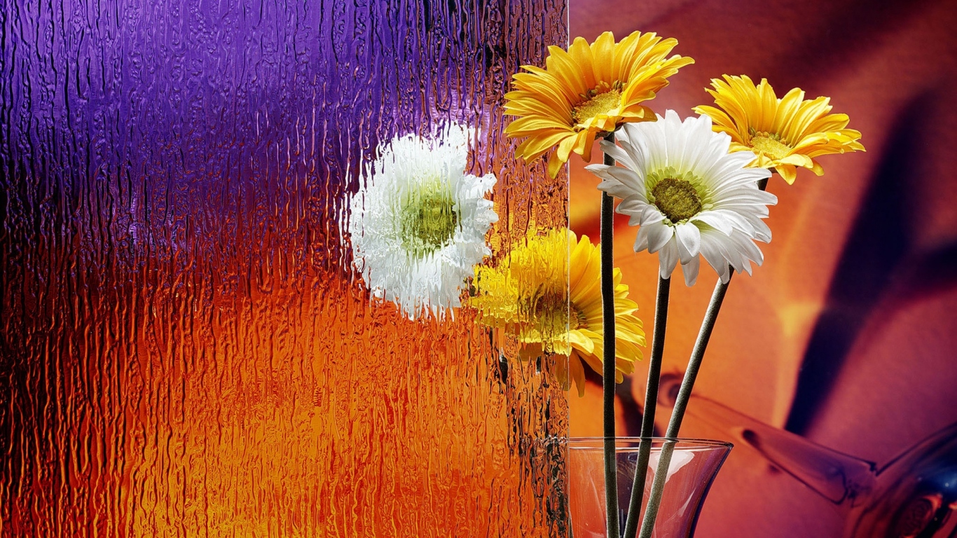 Герберы в вазе