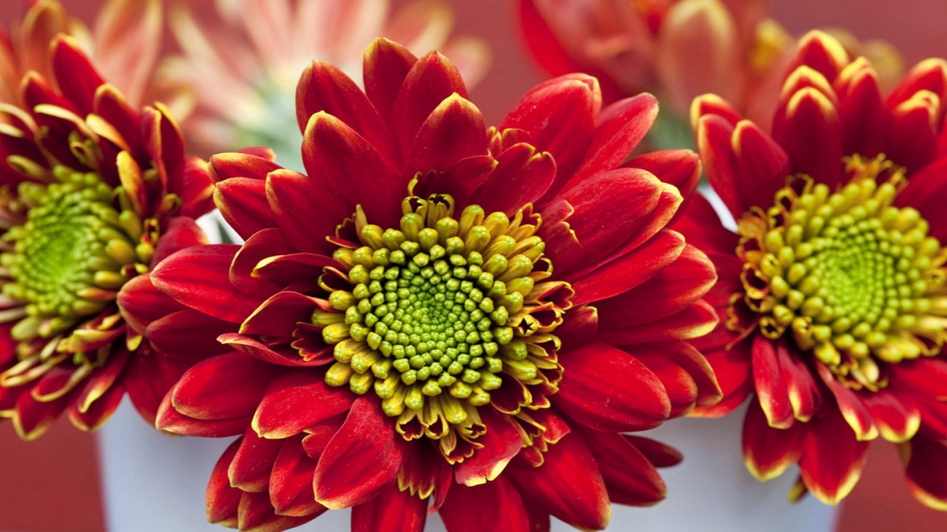 Летний букетик