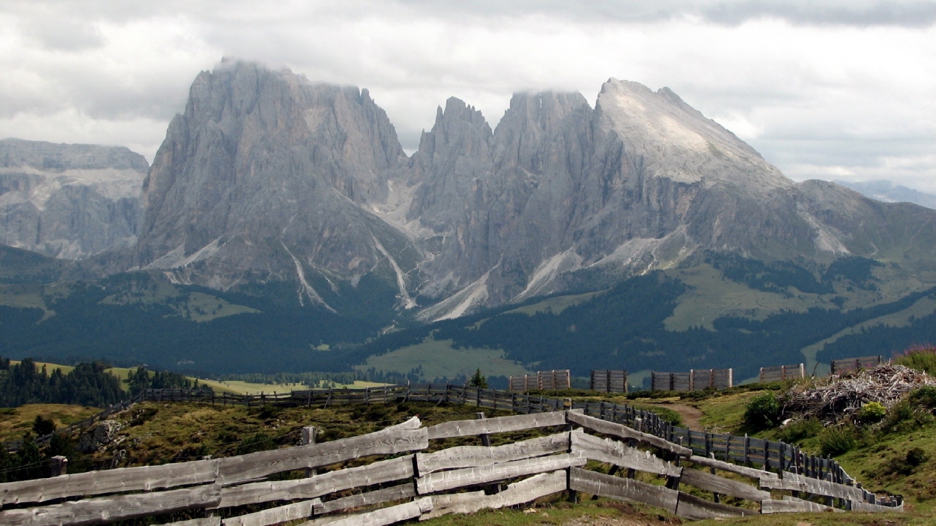 Забор уходящий ввысь