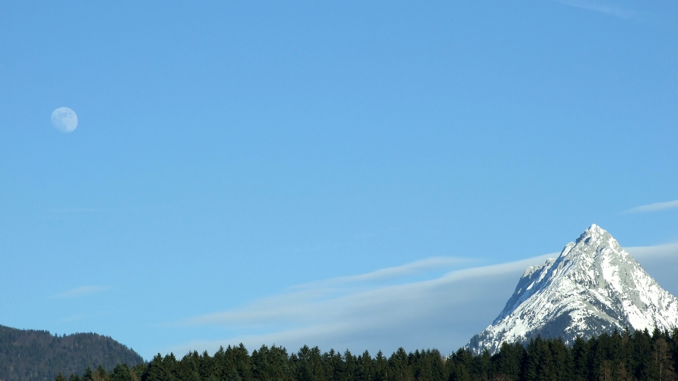 Гора над лесом