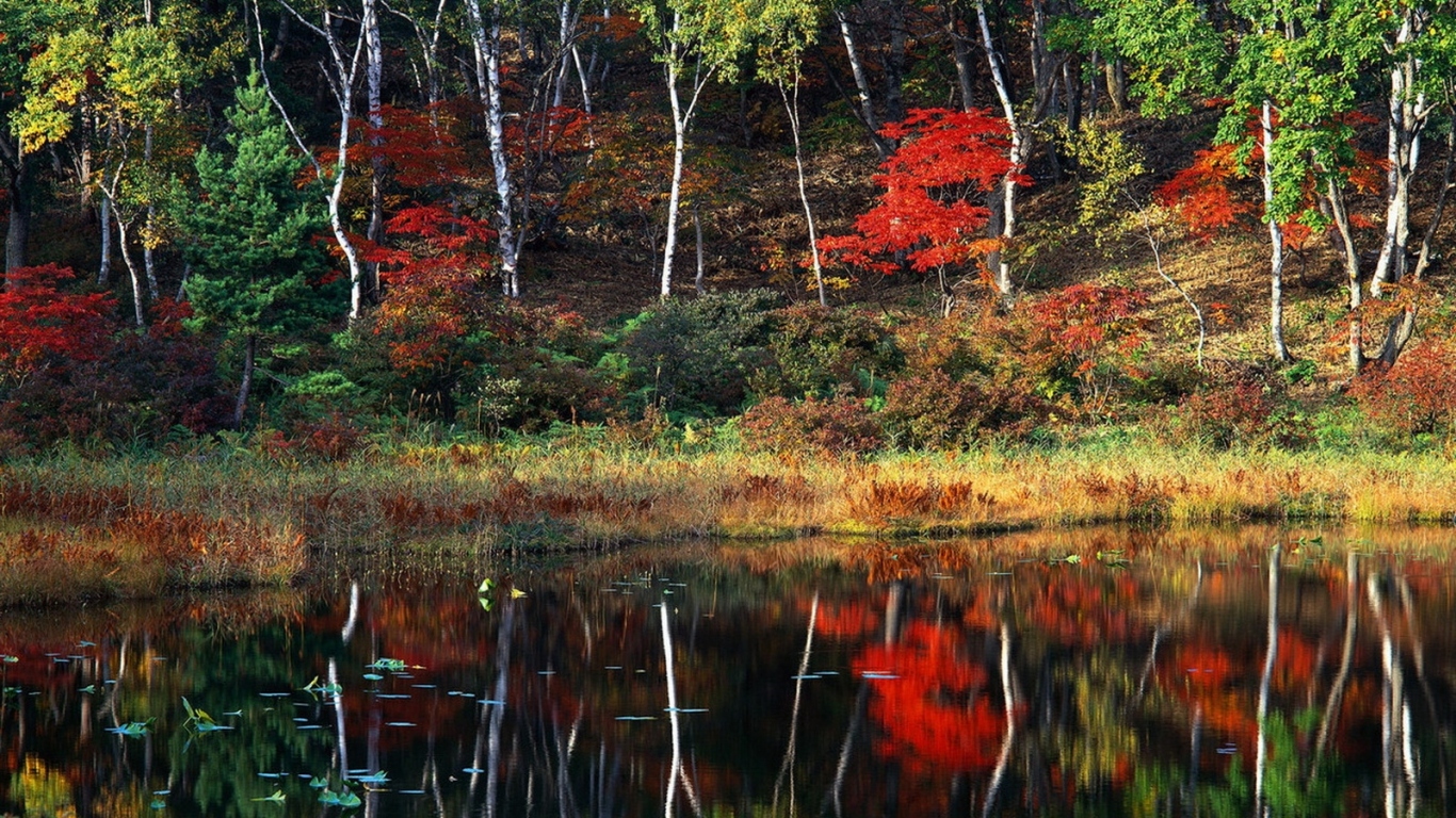 Пейзаж осени