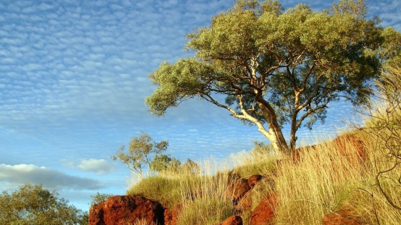 В солнечный день