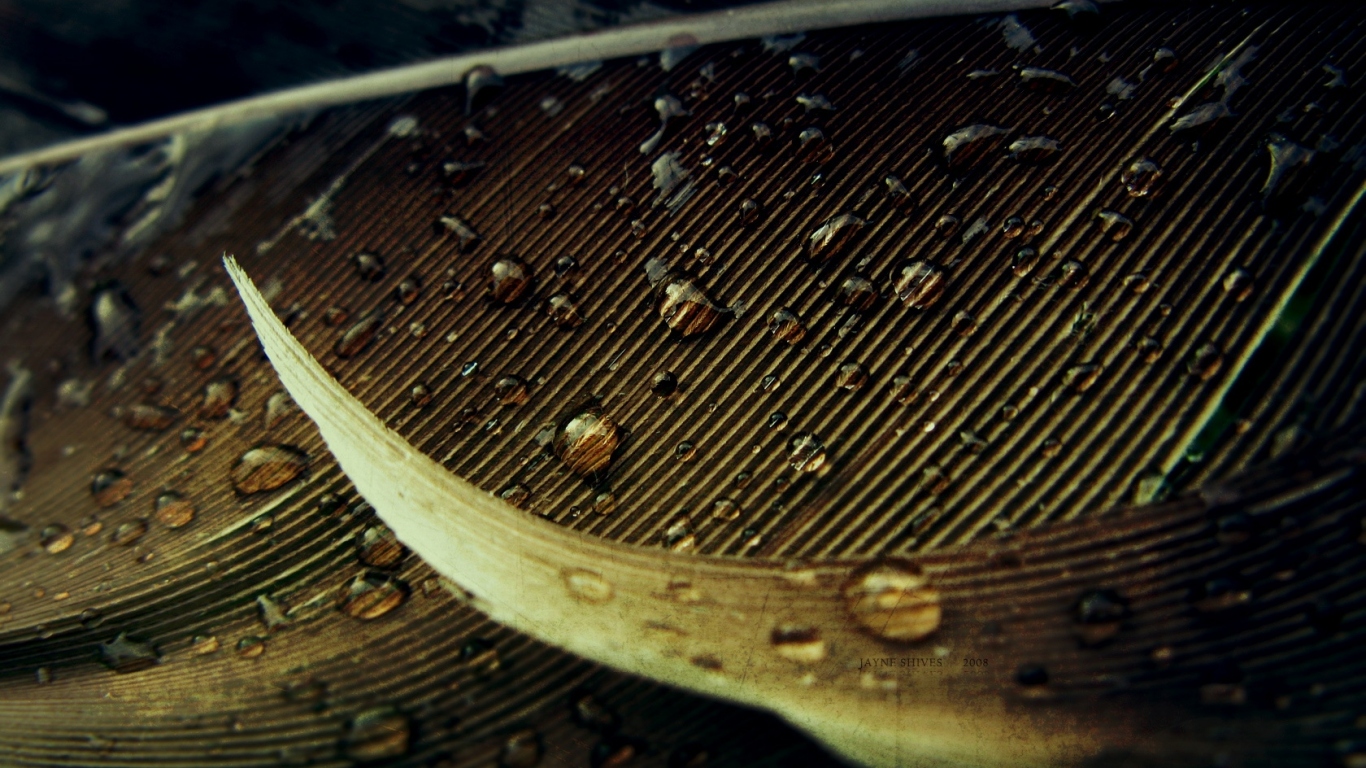 Капли на осеннем листе