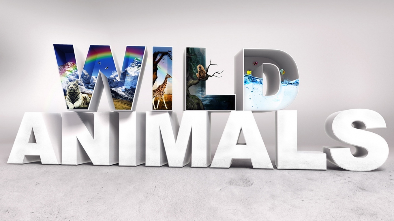 Дикие животные