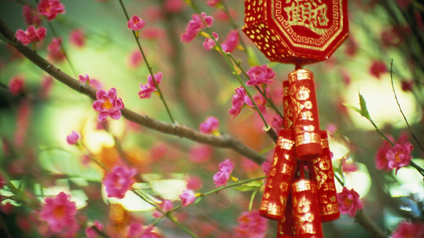 Цветущие растения в Китае