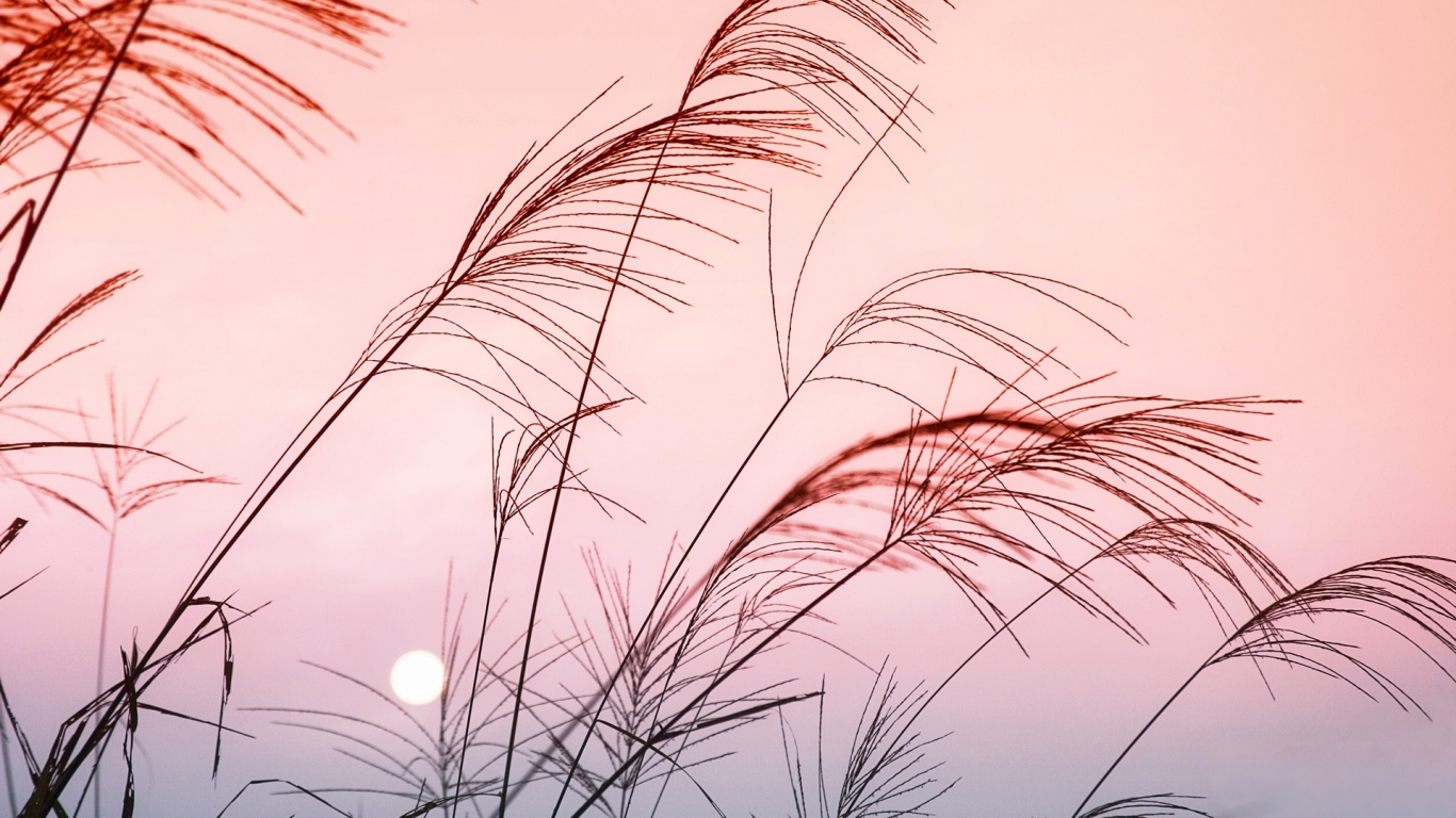 Солнечный закат в Китае