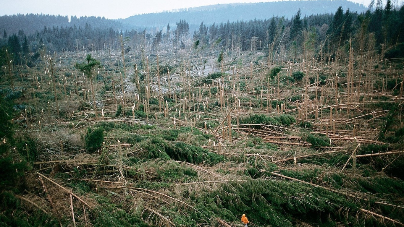 После урагана во Франции