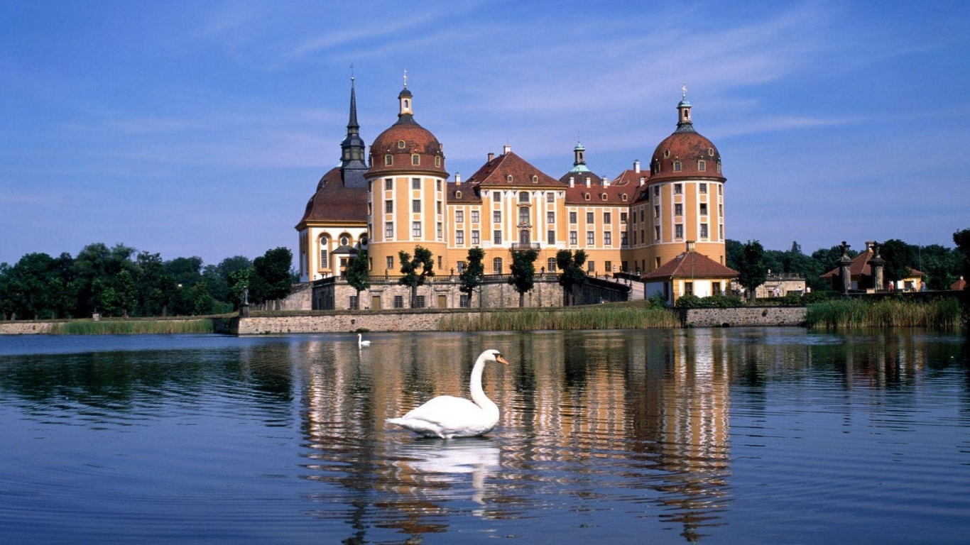 Лебеди на озере