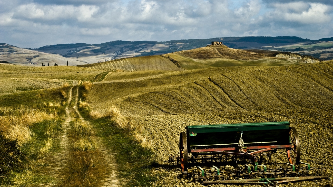 Поле в Тоскане