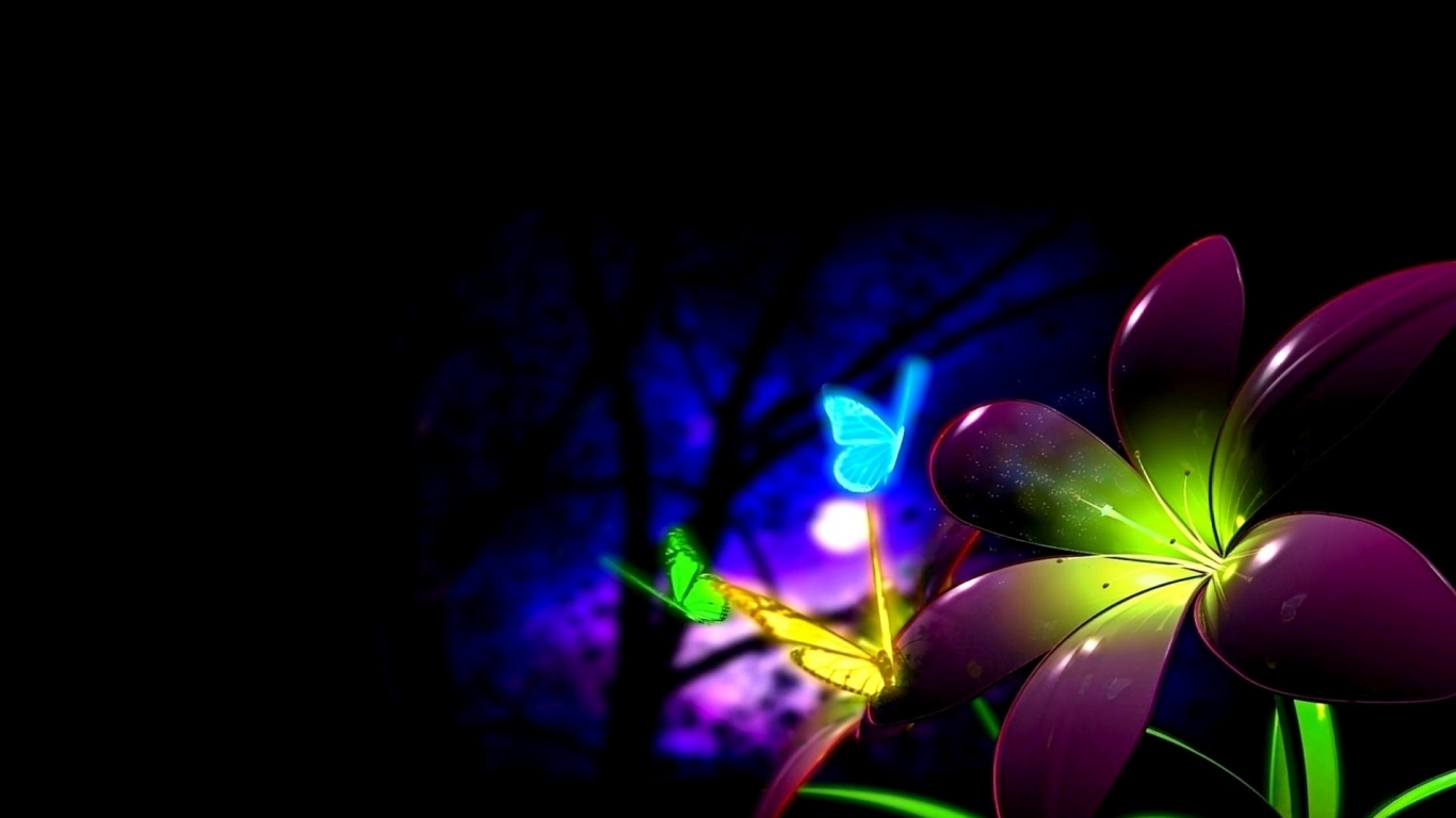 Цветок и бабочки в ночи