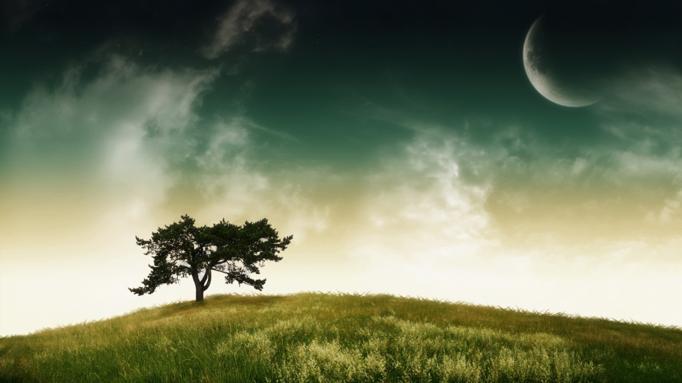 Дерево, небо, планета