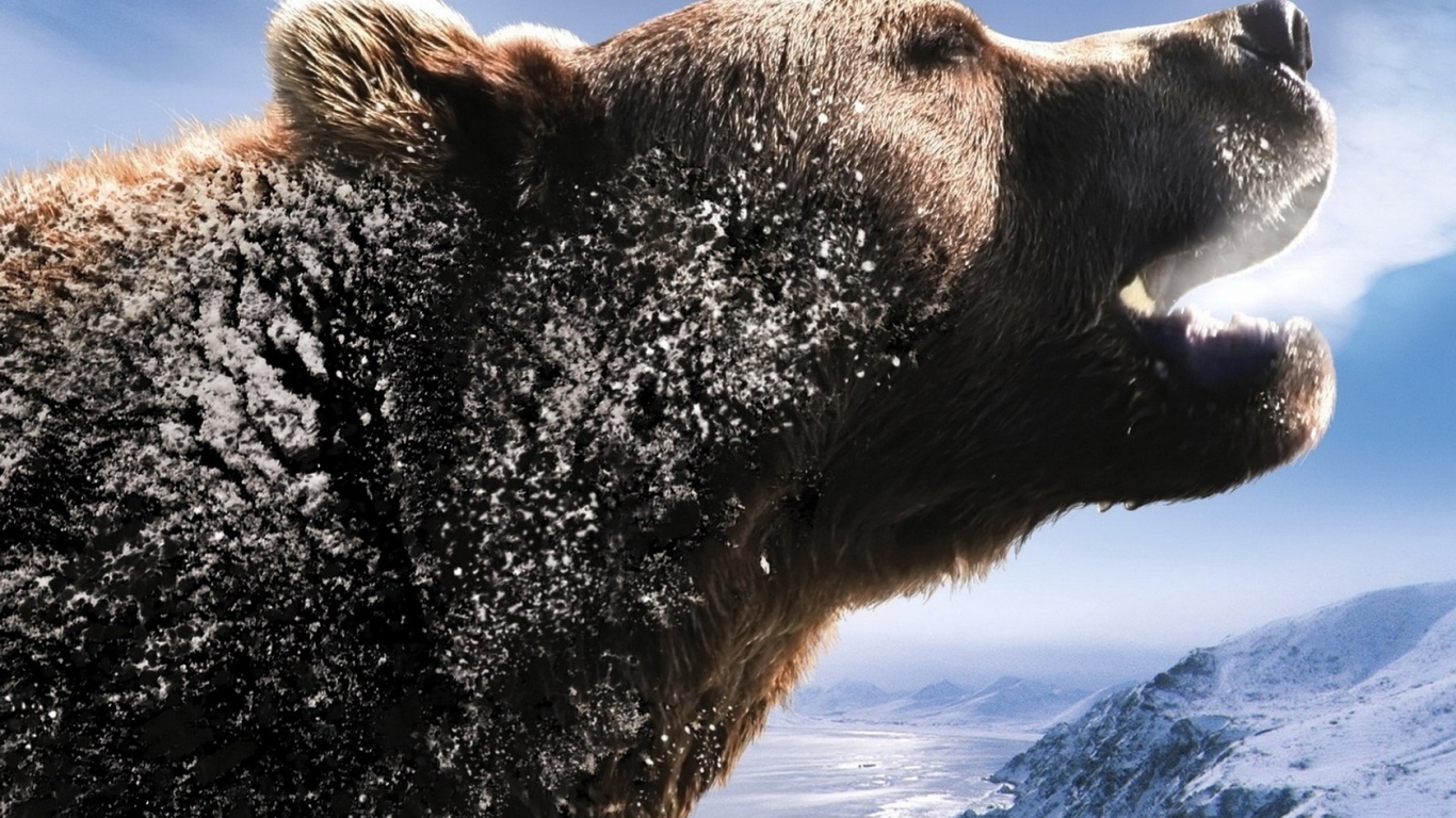 Рычащий медведь
