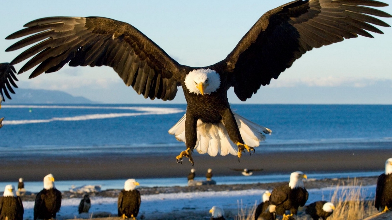 Грозный орел