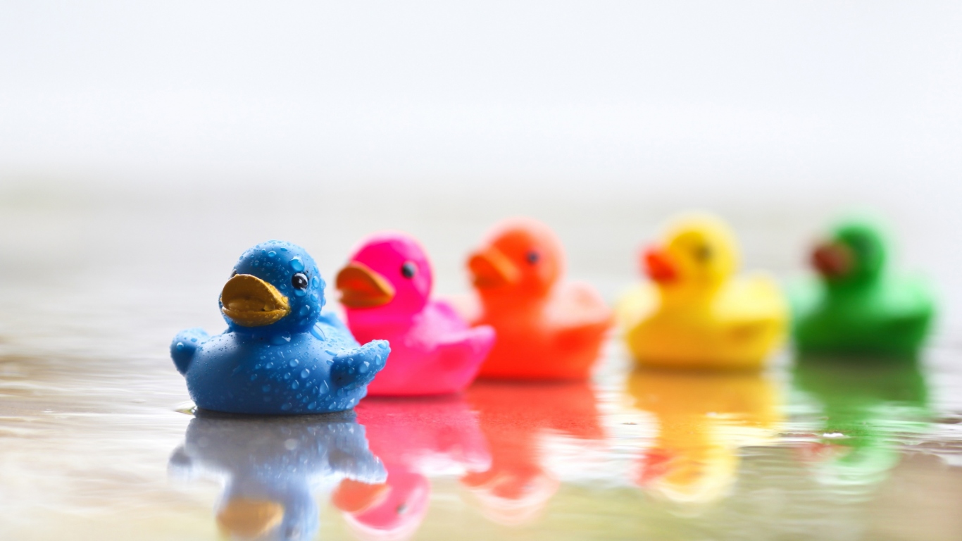 Цветные уточки