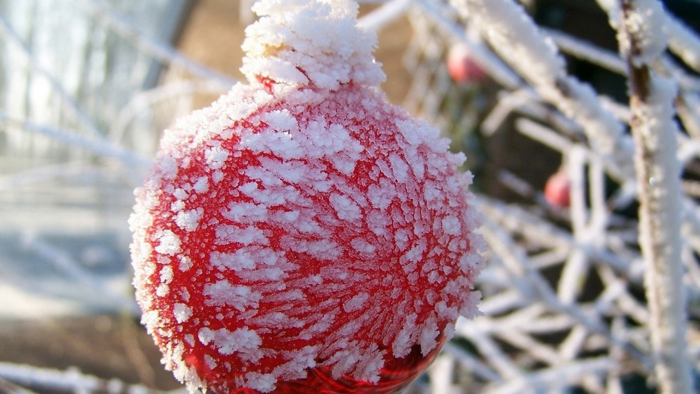 Оледеневший шар