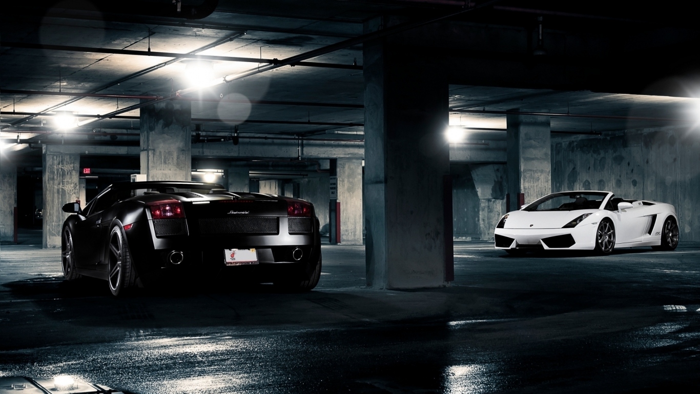 Lamborghini Gallardo White and Black