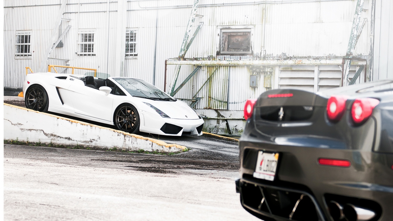 Lamborghini Gallardo and Ferrari