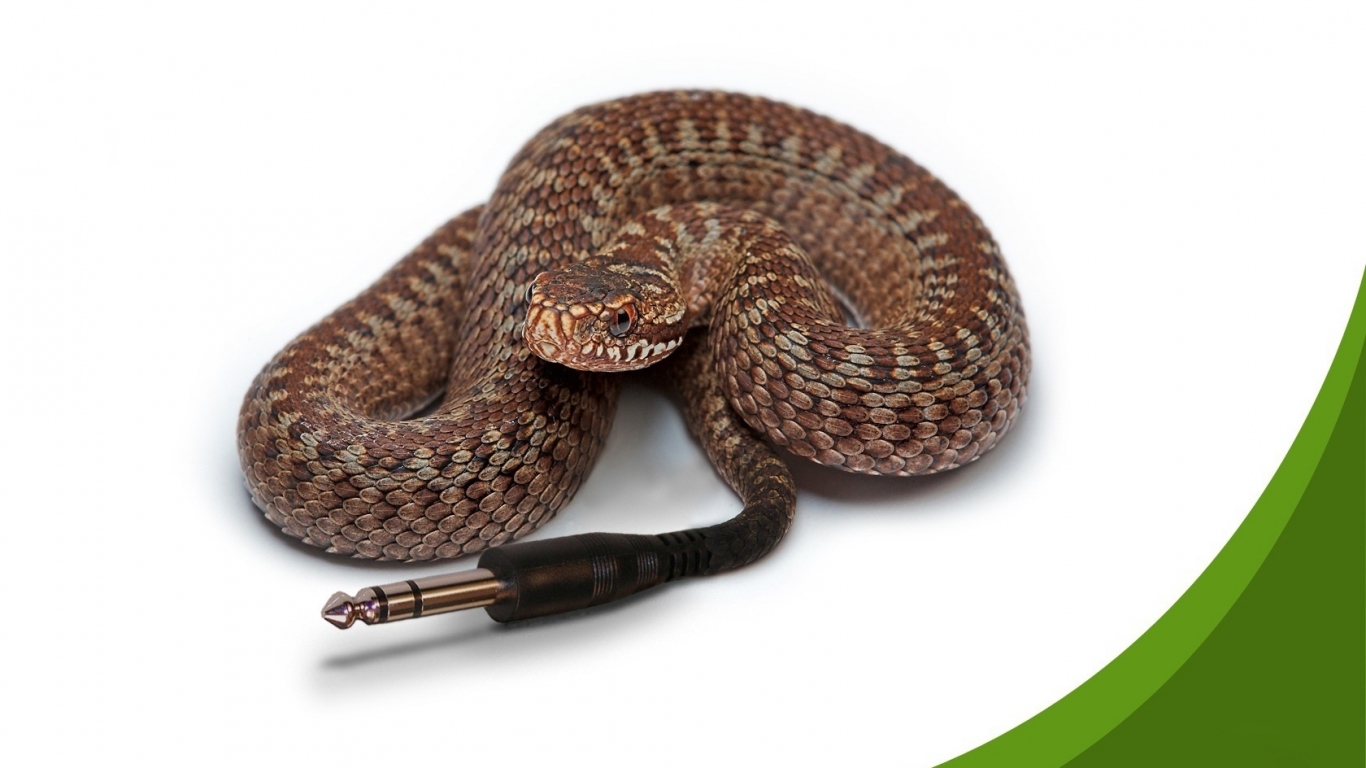 Компьютерная змейка