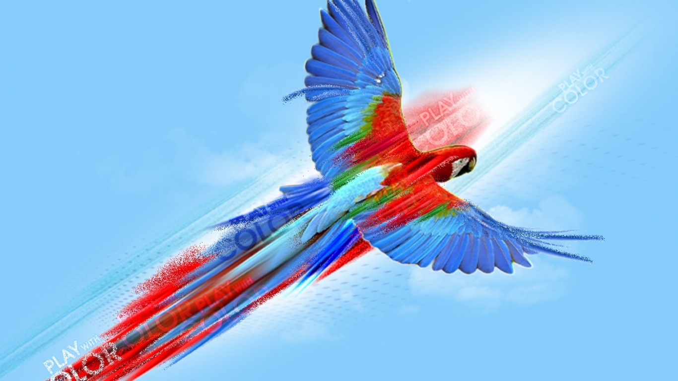 Попугай картина